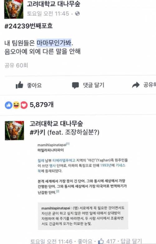 팀원들이 마마무.jpg