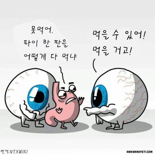 눈과 위장의 관계.jpg