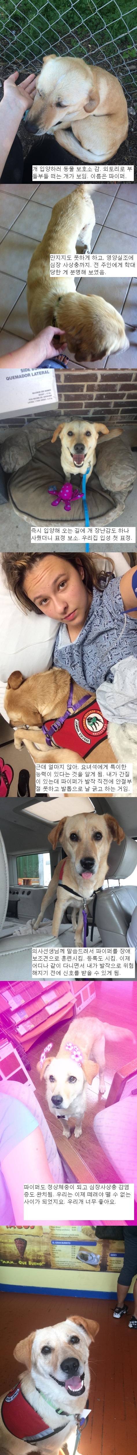 내가 널 구해준 줄 알았는데