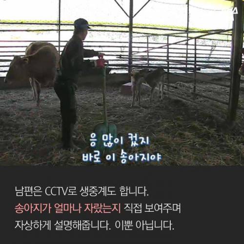 CCTV로 고백하는 남자