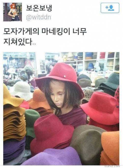 마네킹의 고단함.jpg