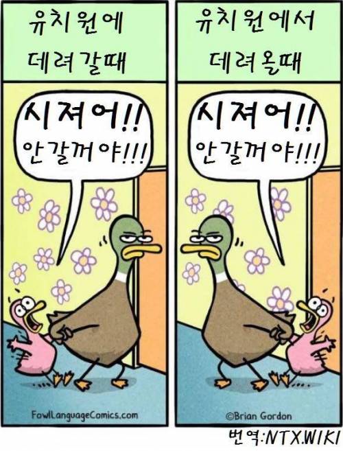 유치원 보내는 집 공감류.jpg