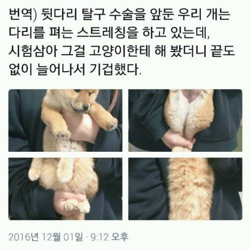 묘체의 신비.jpg