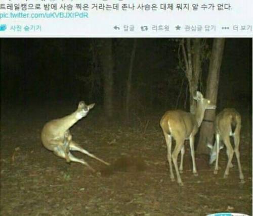 공포스런 미지의 생물.jpg