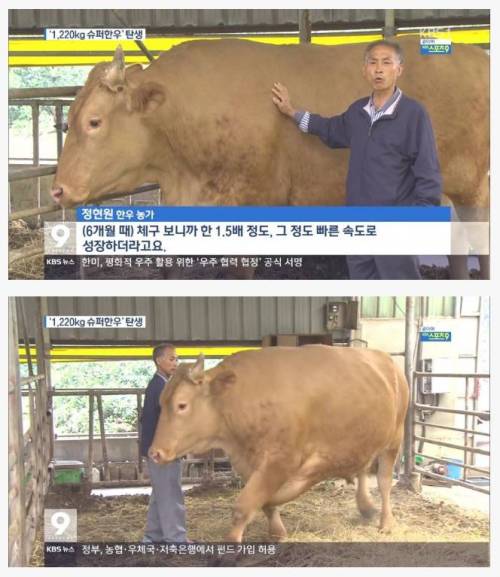 1220kg 슈퍼한우.jpg