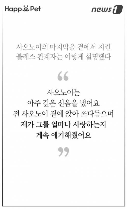 할머니 코끼리의 삶.jpg