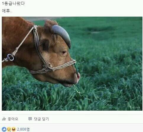 1등급 나왔는데....