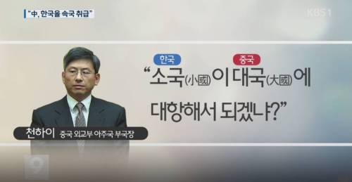 중국 외교관이 한국에 와서 실제로 한 말