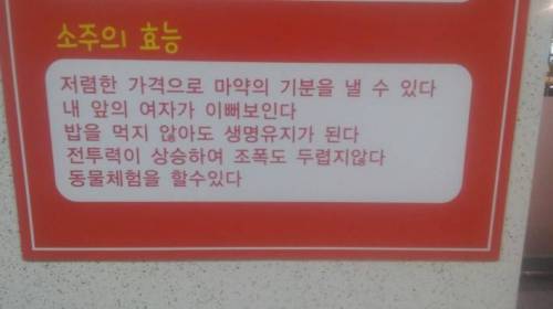 소주의 효능.jpg