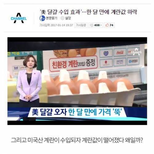 계란값이 갑자기 급락하는 이유