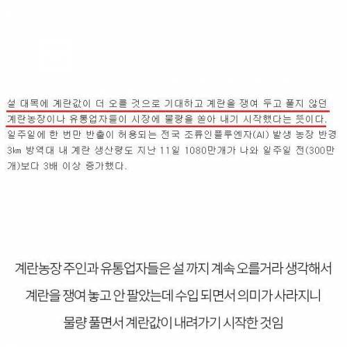 계란값이 갑자기 급락하는 이유