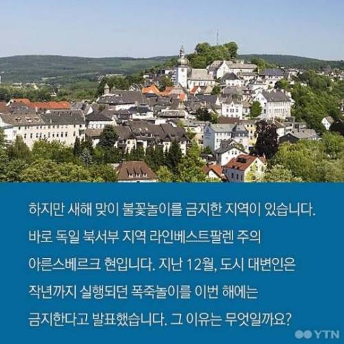 독일 지역 마을이 불꽃놀이를 금지한 이유