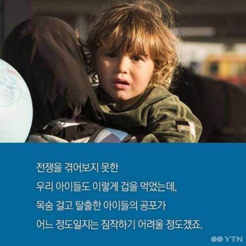 독일 지역 마을이 불꽃놀이를 금지한 이유