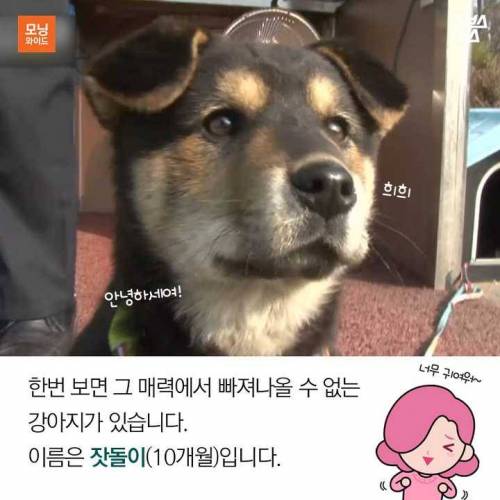 잣 크러시 가평 경찰.jpg