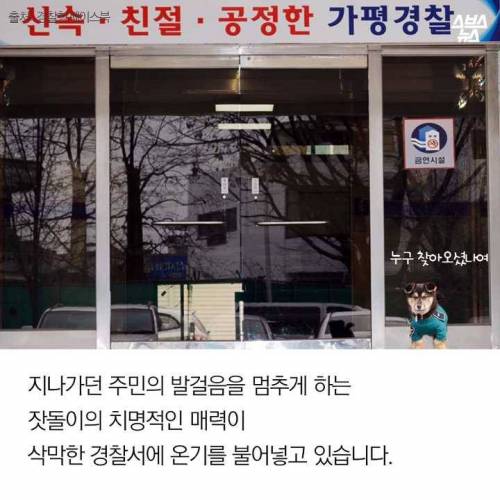 잣 크러시 가평 경찰.jpg