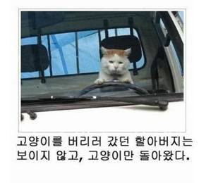 오랜만에 제목학원.jpg