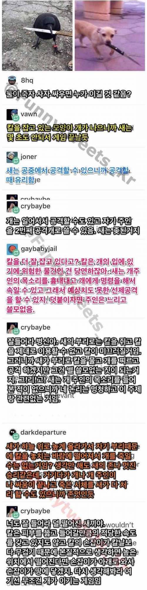 해외에서 난리난 토론 주제