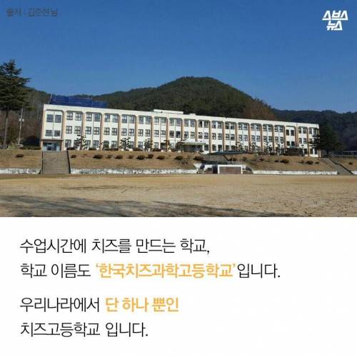 한국 치즈고.jpg