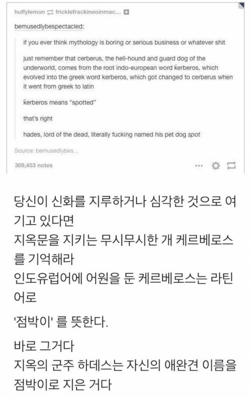 명계를 지키는 개, 케르베로스의 이름 뜻