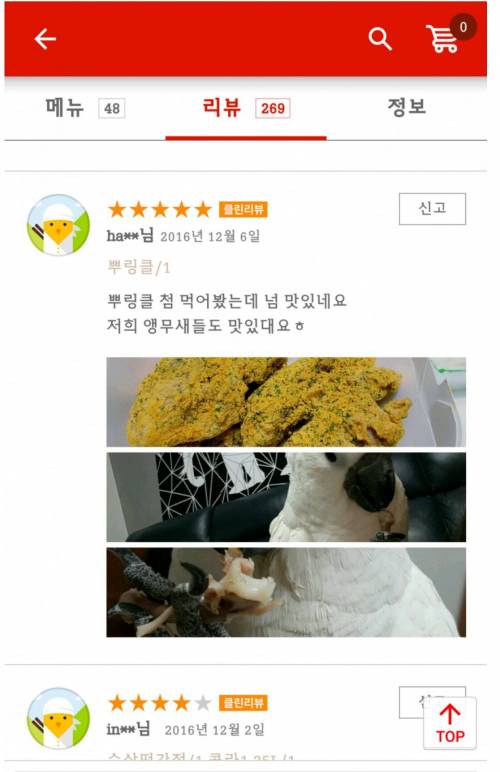 치킨집 후기에 등장한 앵무새.JPG