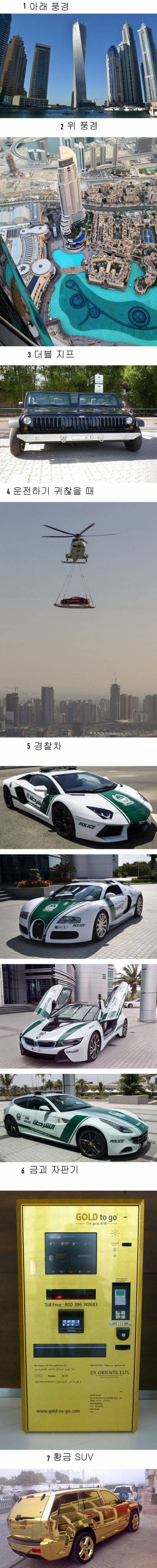 두바이에서 흔히 보는 것들