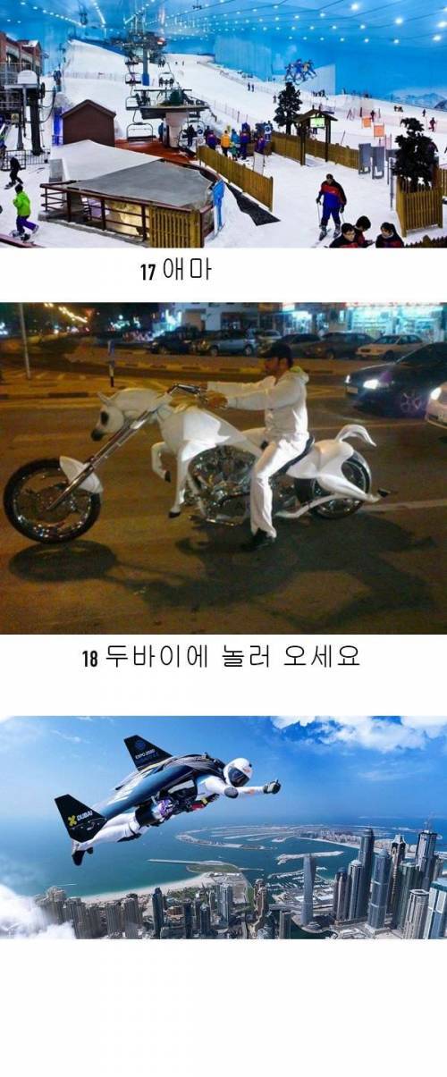 두바이에서 흔히 보는 것들