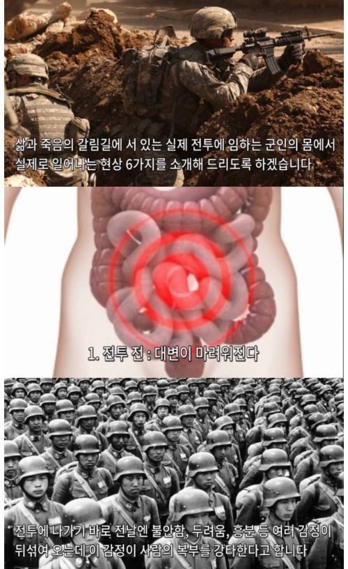 전투시 군인이 겪는 몸의 변화.jpg