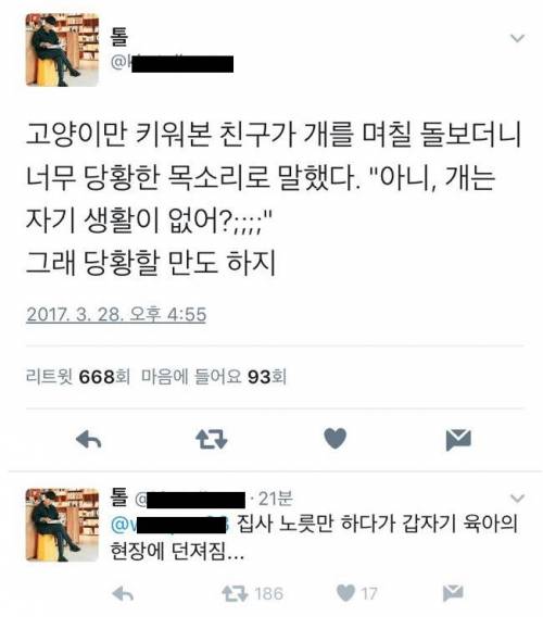 개를 접해본 고양이 집사님의 소감.jpg