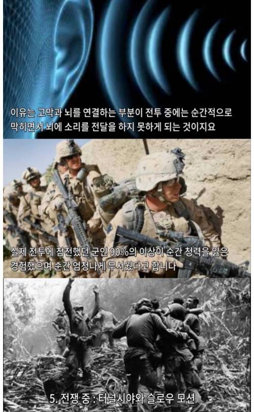 전투시 군인이 겪는 몸의 변화.jpg