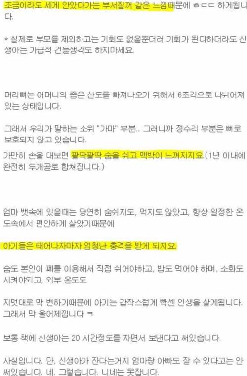 아기아빠가 말하는 '아기를 낳아야 하는 이유'