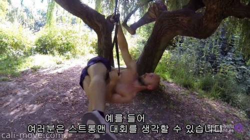 복근 운동의 진실.jpg