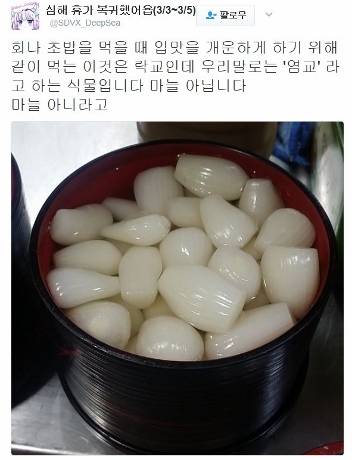 여태 마늘인줄 알고 먹었는데