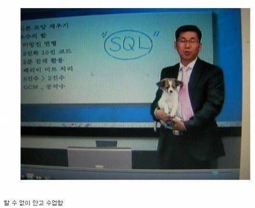 인강 촬영중에 개가 문 열어달라고 긁어서.jpg