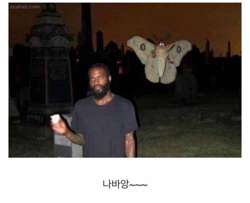 안녕?난 나방이라고 해