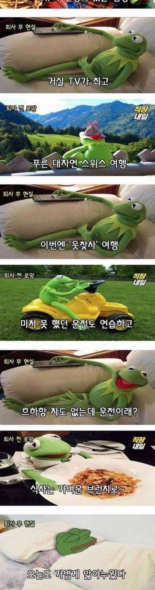 퇴사할 때 로망과 퇴사 후의 현실.jpg