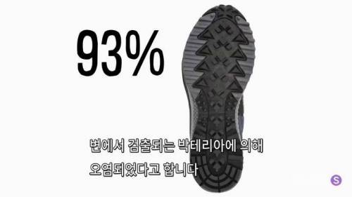 땅에 떨어진 음식은 5초 안에만 주워먹으면 된다.jpg