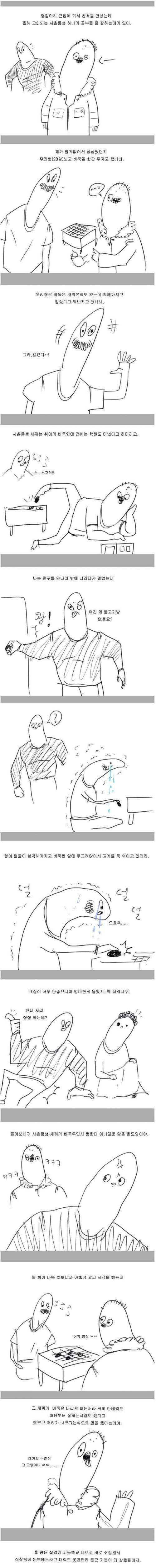 사촌에게 개무시 당한 우리형 기 살려준 썰.jpg