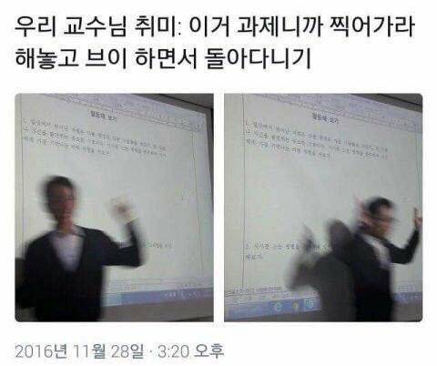 교수님의 귀여운 취미