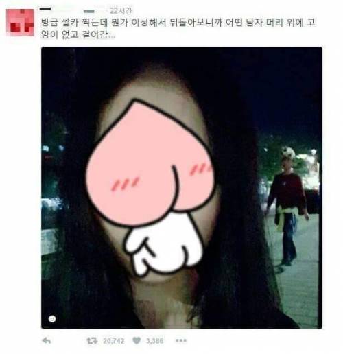 셀카를 찍었는데 뭔가 이상해서