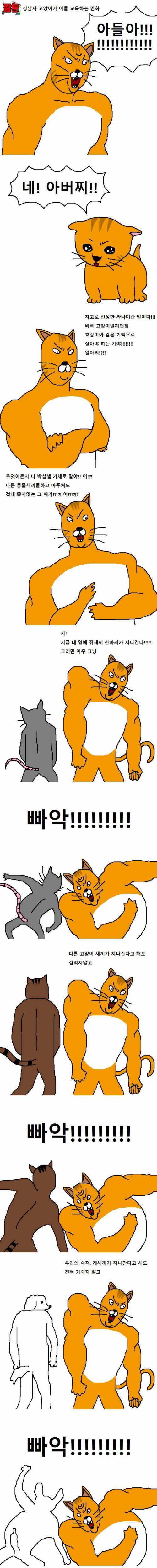 상남자 고양이의 아들 교육법.jpgif