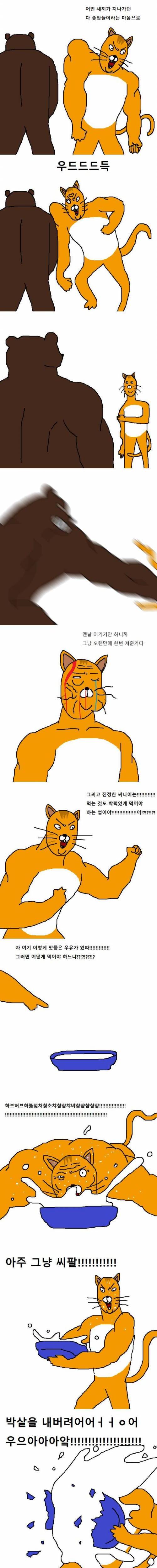 상남자 고양이의 아들 교육법.jpgif