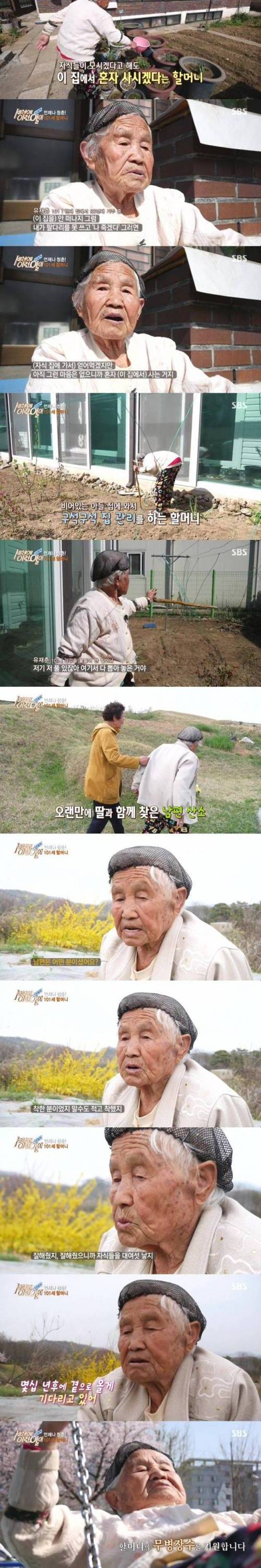 [스압]언제나 청춘