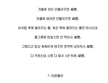 난이도 최상급 애완동물들