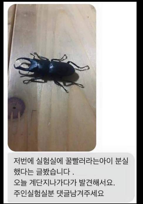 한번들으면 잊을수없는 작명센스.jpg