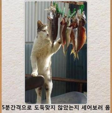 제목학원 모음.jpg