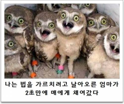 제목학원 모음.jpg