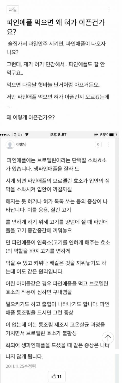 파인애플을 먹으면 왜 혀가 아픈가요?