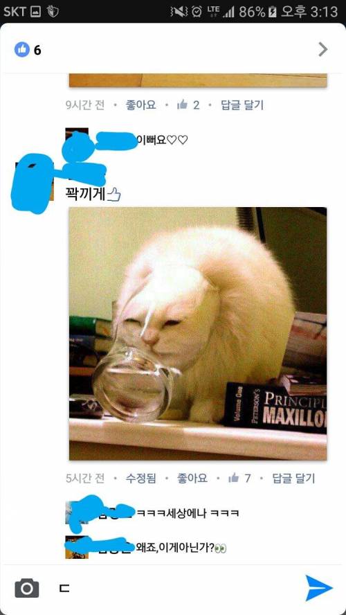 고양이 사진공유좀 해주세요