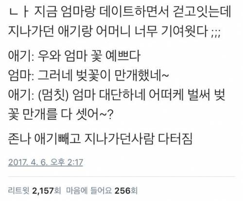 다시는 한국 어머니의 능력을 무시하지마라