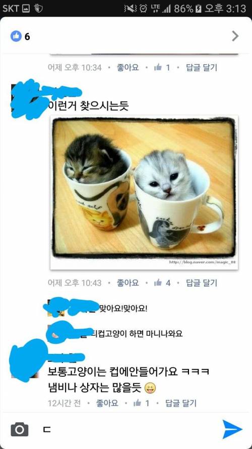 고양이 사진공유좀 해주세요